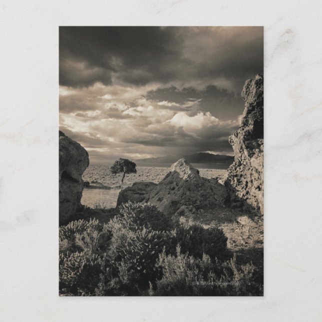 Pyramid Sjö, Nevada 2 Vykort (Framsida)