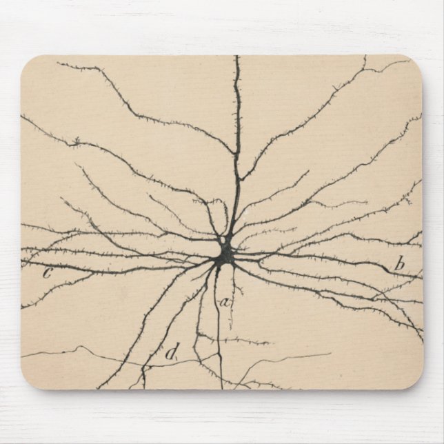 Pyramida Neuron Teckning av Santiago Ramón Y Cajal Musmatta (Framsidan)