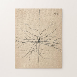 Pyramida Neuron Teckning av Santiago Ramón Y Cajal Pussel