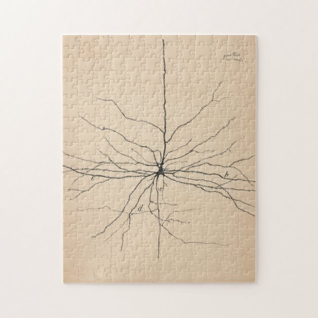 Pyramida Neuron Teckning av Santiago Ramón Y Cajal Pussel (Vertikal)