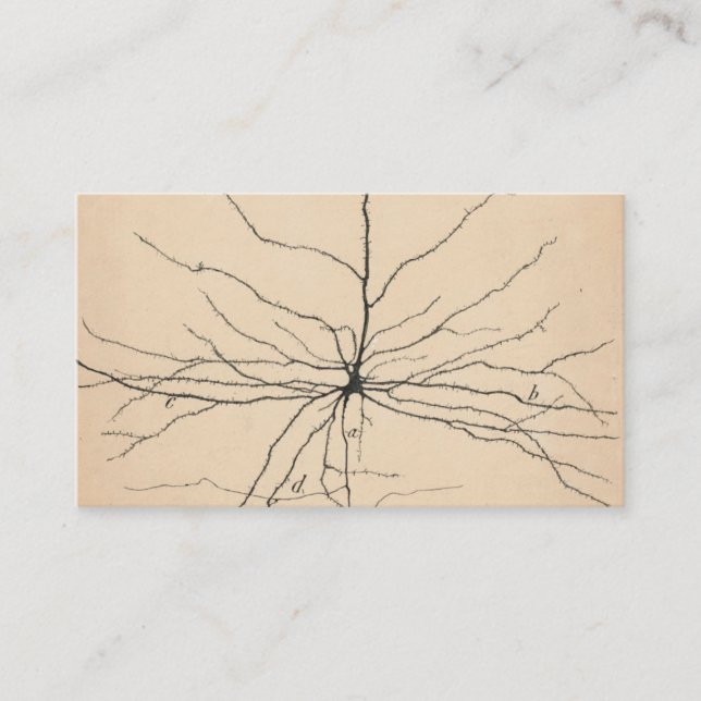 Pyramida Neuron Teckning av Santiago Ramón Y Cajal Visitkort (Framsida)
