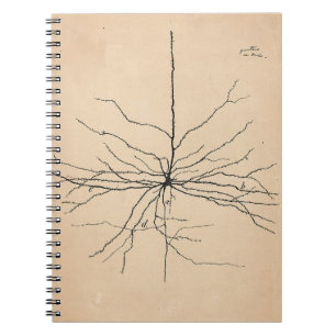 Pyramida Neuron Teckning Santiago Ramon y Cajal Anteckningsbok