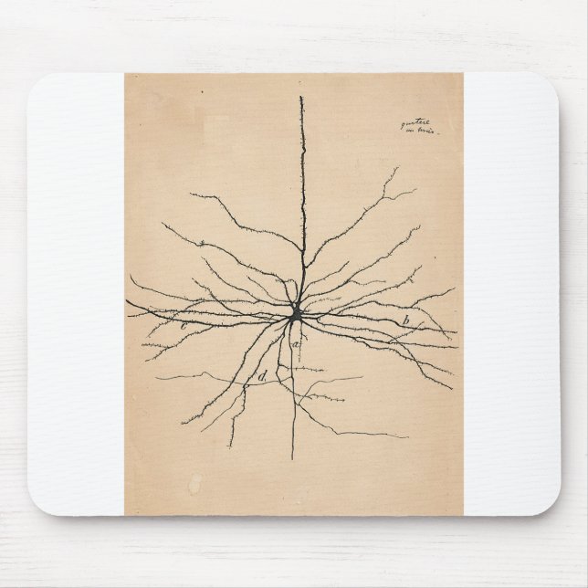 Pyramida Neuron Teckning Santiago Ramon y Cajal Musmatta (Framsidan)