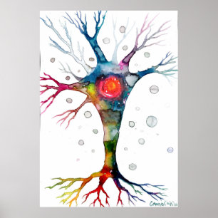 Pyramidal neuron i neokortex poster
