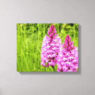 Pyramidal Orchid-Kanvastryck Canvastryck