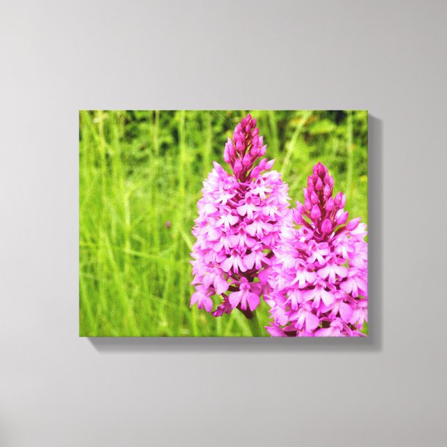 Pyramidal Orchid-Kanvastryck Canvastryck (Framsida)