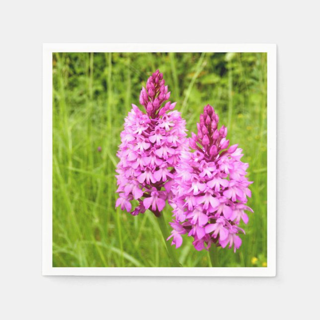 Pyramidal Orchid Pappra blöjor Pappersservett (Framsidan)
