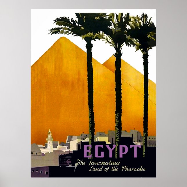 Pyramider bakom handflatan träd, Egypten Poster (Framsidan)