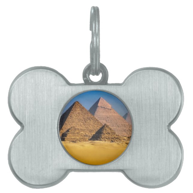Pyramider ID-bricka Husdjur (Framsidan)