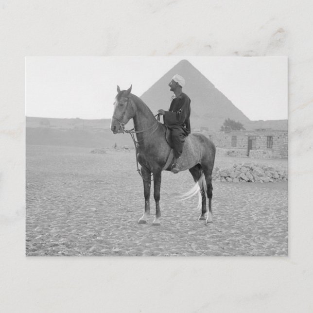 Pyramids of Giza with Horseman circa 1934 Vykort (Framsida)