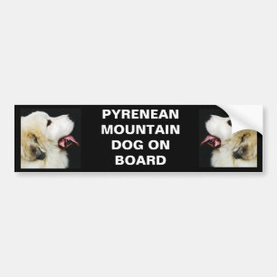 PYRENEAN BERGHUND OMBORD BILDEKAL