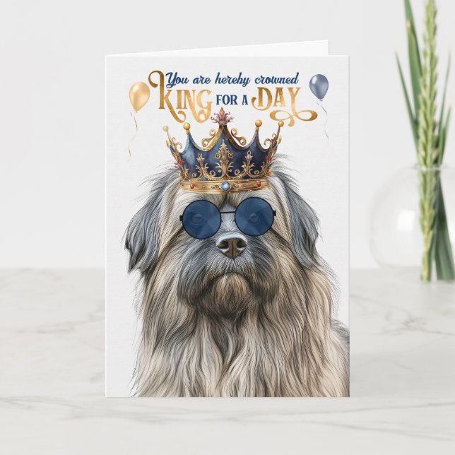 Pyrenean Shepherd Kung för en dag på födelsedagen Kort (Framsida)