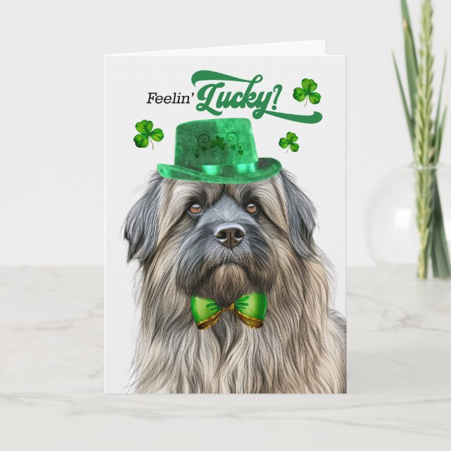 Pyrenean Shepherd Lucky St patrick's day Helgkort (Framsida)