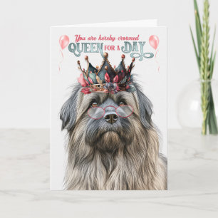 Pyrenean Shepherd Queen for Day Funny Birthday Kort