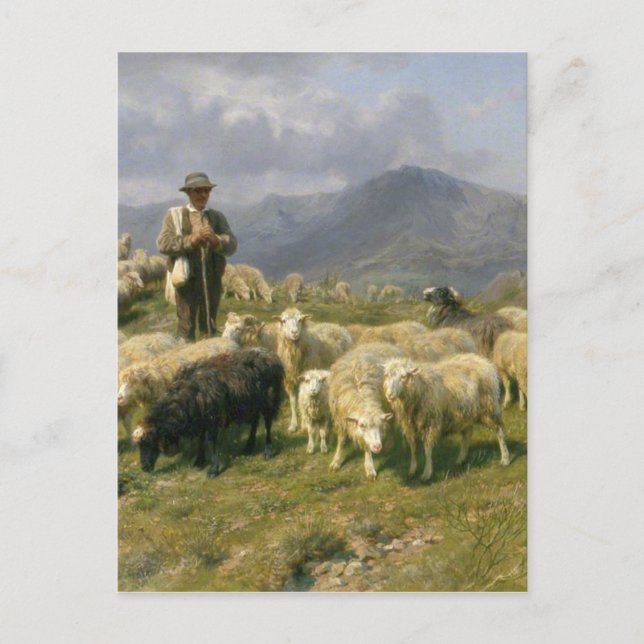 Pyrenéernas herde av Rosa Bonheur Vykort (Framsida)