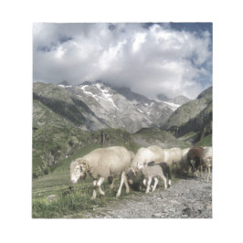 Pyrenéernas landskap anteckningsblock