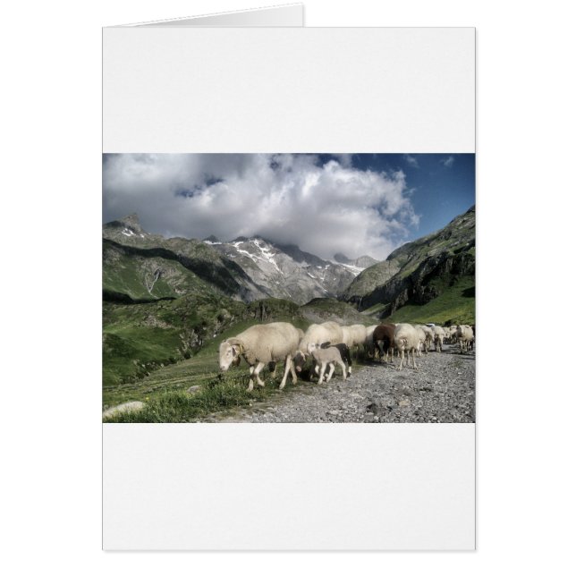 Pyrenéernas landskap hälsningskort (Framsidan)