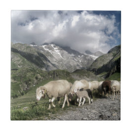 Pyrenéernas landskap kakelplatta