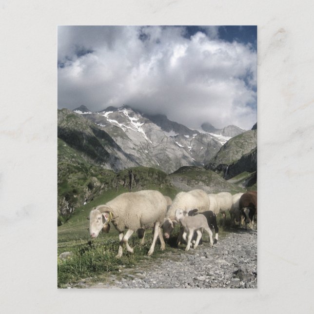 Pyrenéernas landskap vykort (Framsida)