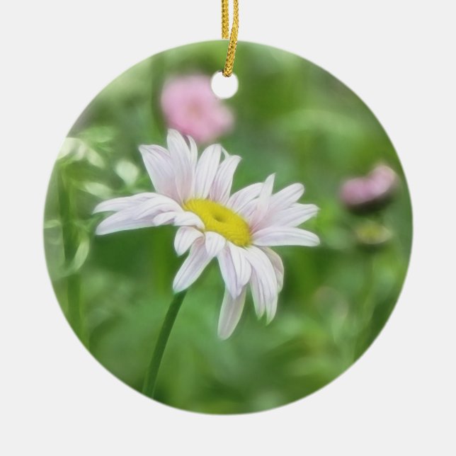 Pyrethrumdaisy - Tanacetumcoccineum Julgransprydnad Keramik (Framsidan)