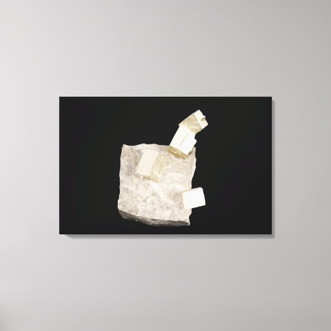 Pyrite Crystals in Shale Canvastryck (Framsida)