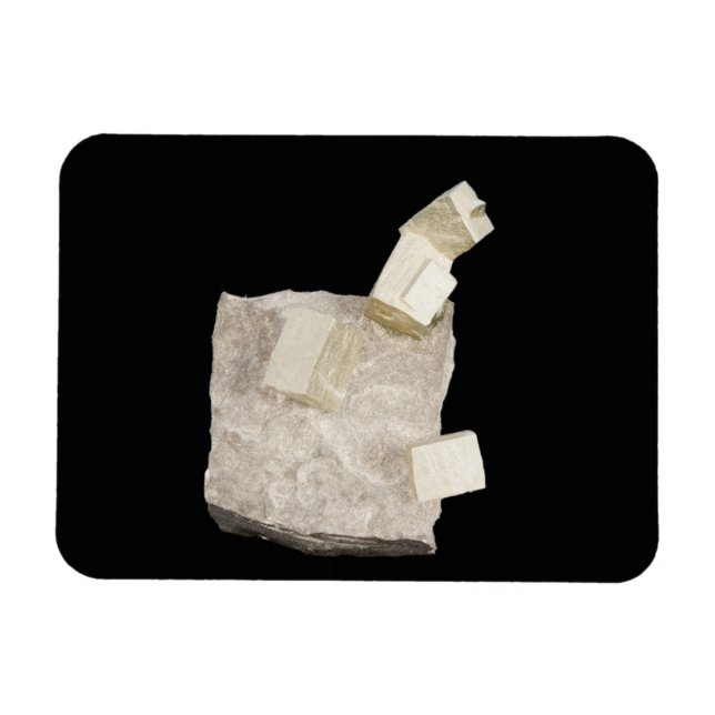 Pyrite Crystals in Shale Magnet (Horisontell)