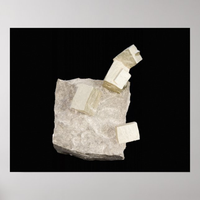 Pyrite Crystals in Shale Poster (Framsidan)