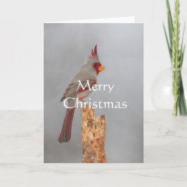 Pyrrhuloxia på en gren, god jul helgkort