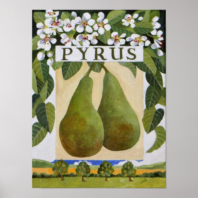 Pyrus Poster (Framsidan)