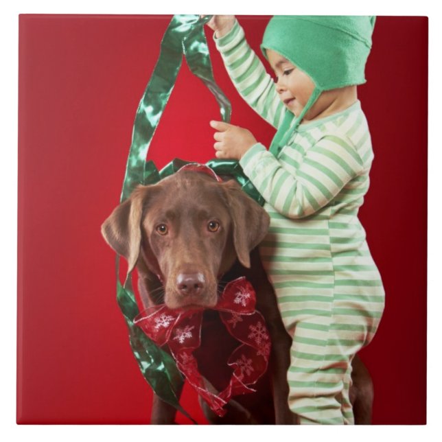 Pys som dekorerar en hund kakelplatta (Framsidan)