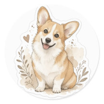 Pysbaby: Corgi
