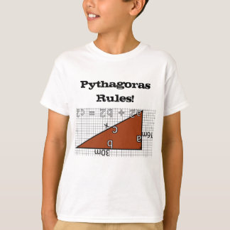 PYTHAGORAS REGLER! T SHIRT