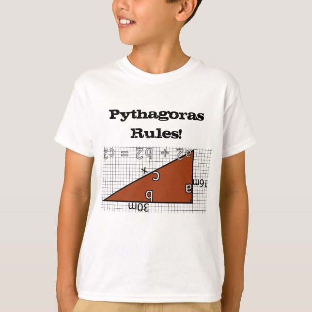 PYTHAGORAS REGLER! T SHIRT (Framsida)