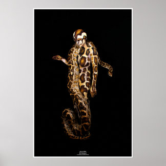 Python av Johannes Stötter Poster