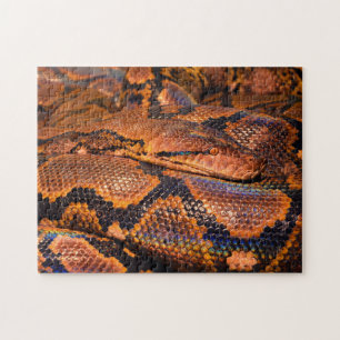 Python Boa Snake Pussel