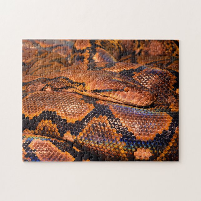 Python Boa Snake Pussel (Horisontell)
