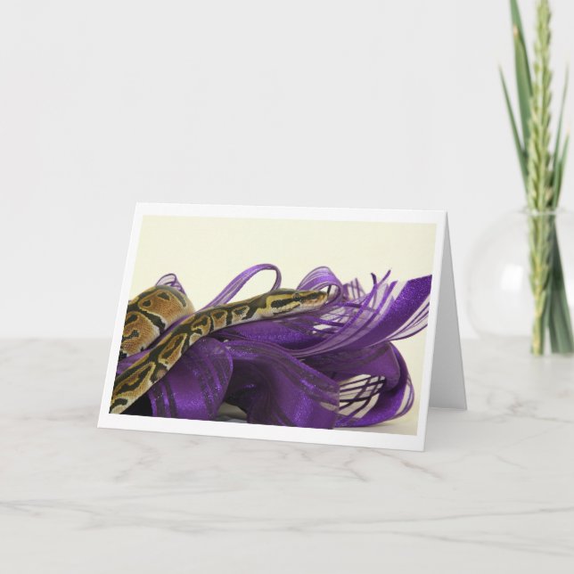 Python Greeting Card baby Boll Kort (Framsida)