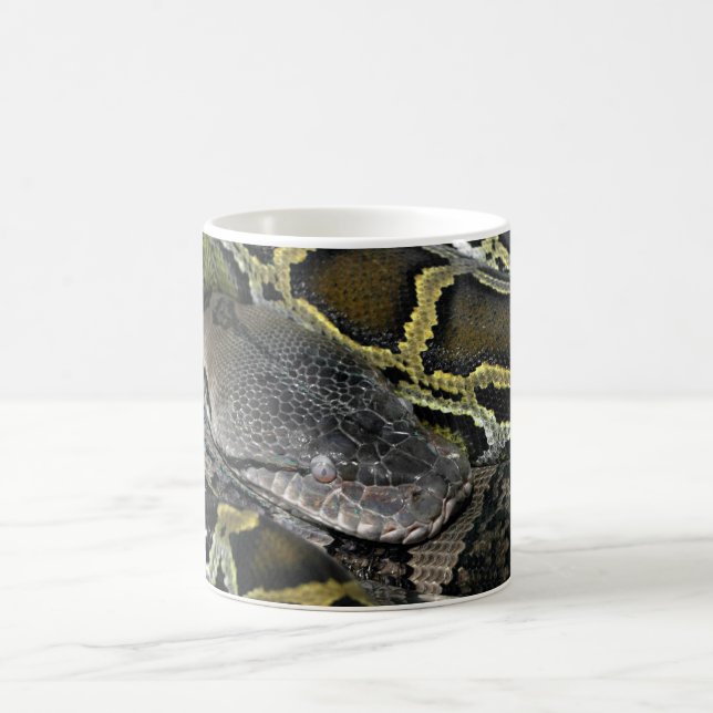 Python molurus bivittatus kaffemugg (Center)