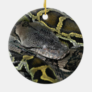 Python mourus bivittatus julgransprydnad keramik