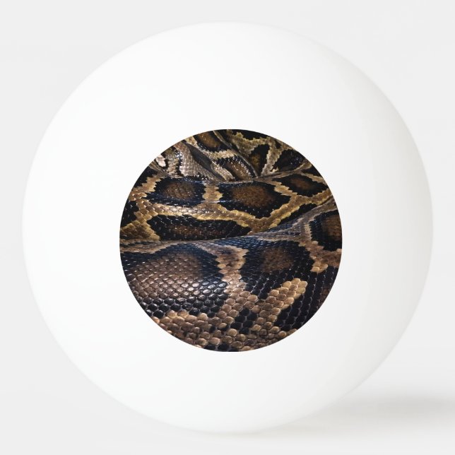 Python Pingisboll (Framsidan)