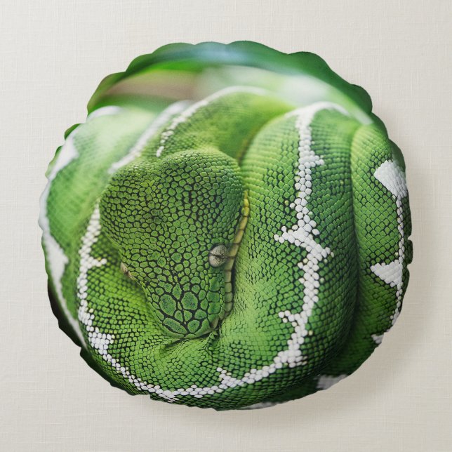Python Rund Kudde (Framsidan)