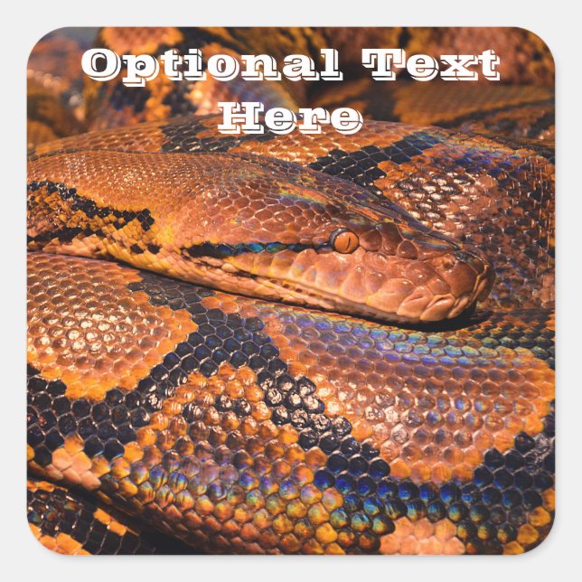 Python Snake Fyrkantigt Klistermärke (Framsida)