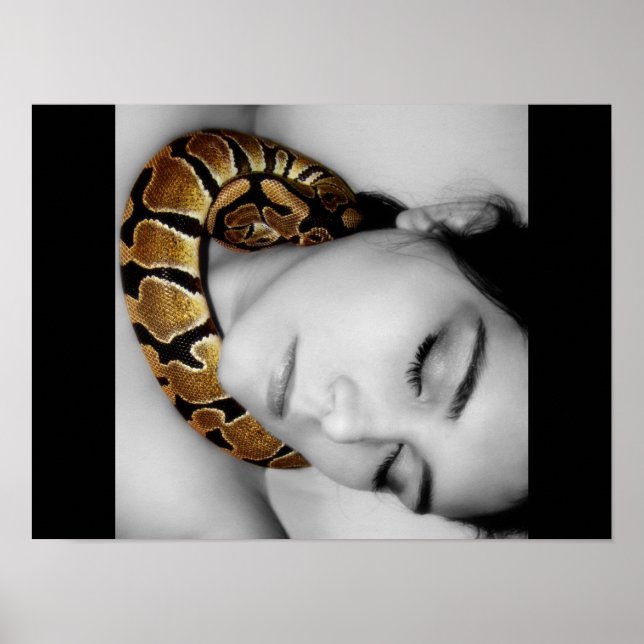 Pythons Lullaby Poster (Framsidan)