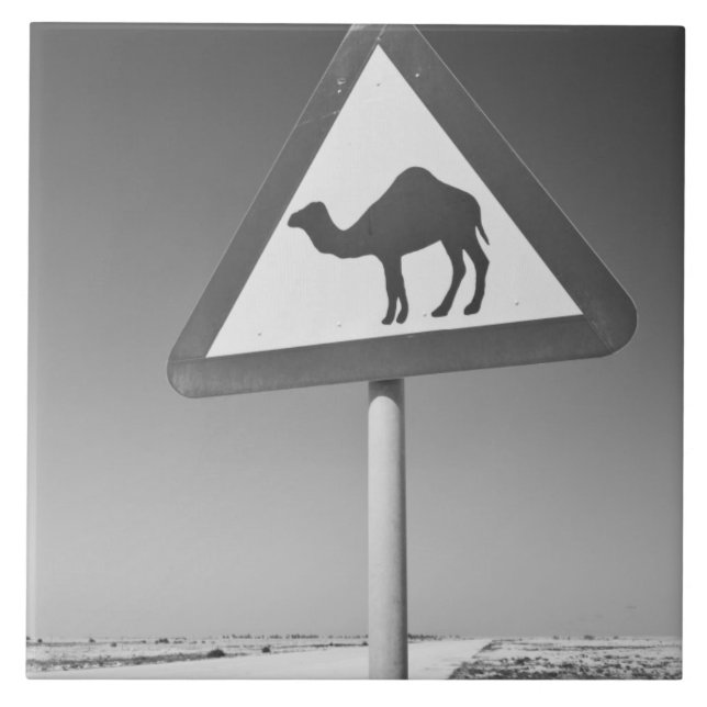 Qatar, Al Zubarah. Kamel Korsning Skylt-Väg till Kakelplatta (Framsidan)