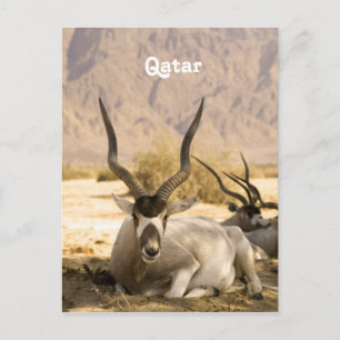 Qatar Vykort