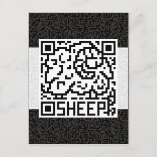 QR kodifierar fåren Vykort