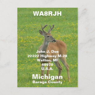QSL-kort HAM Radio amatör vår buck vitstjärtshjort Vykort