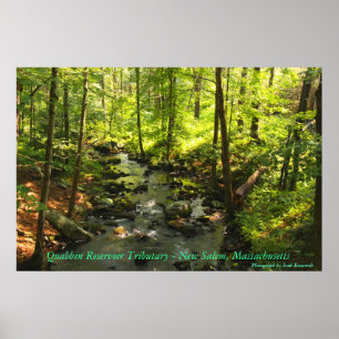 Quabbin Reservoir Tributary Poster