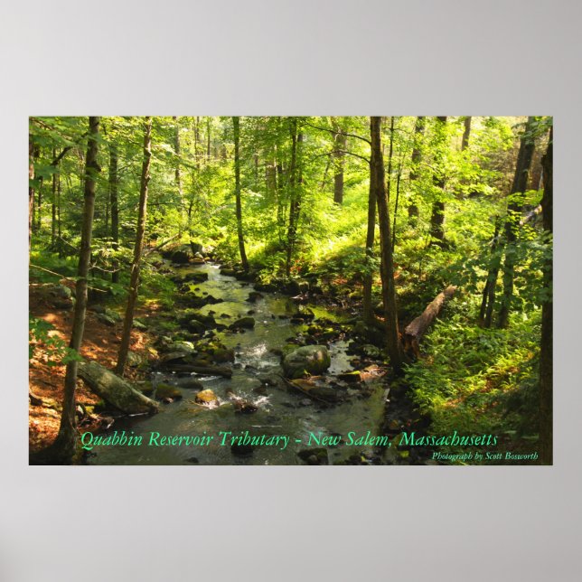 Quabbin Reservoir Tributary Poster (Framsidan)