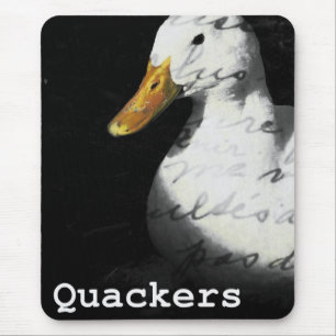 Quackers Anka Collage Musmatta